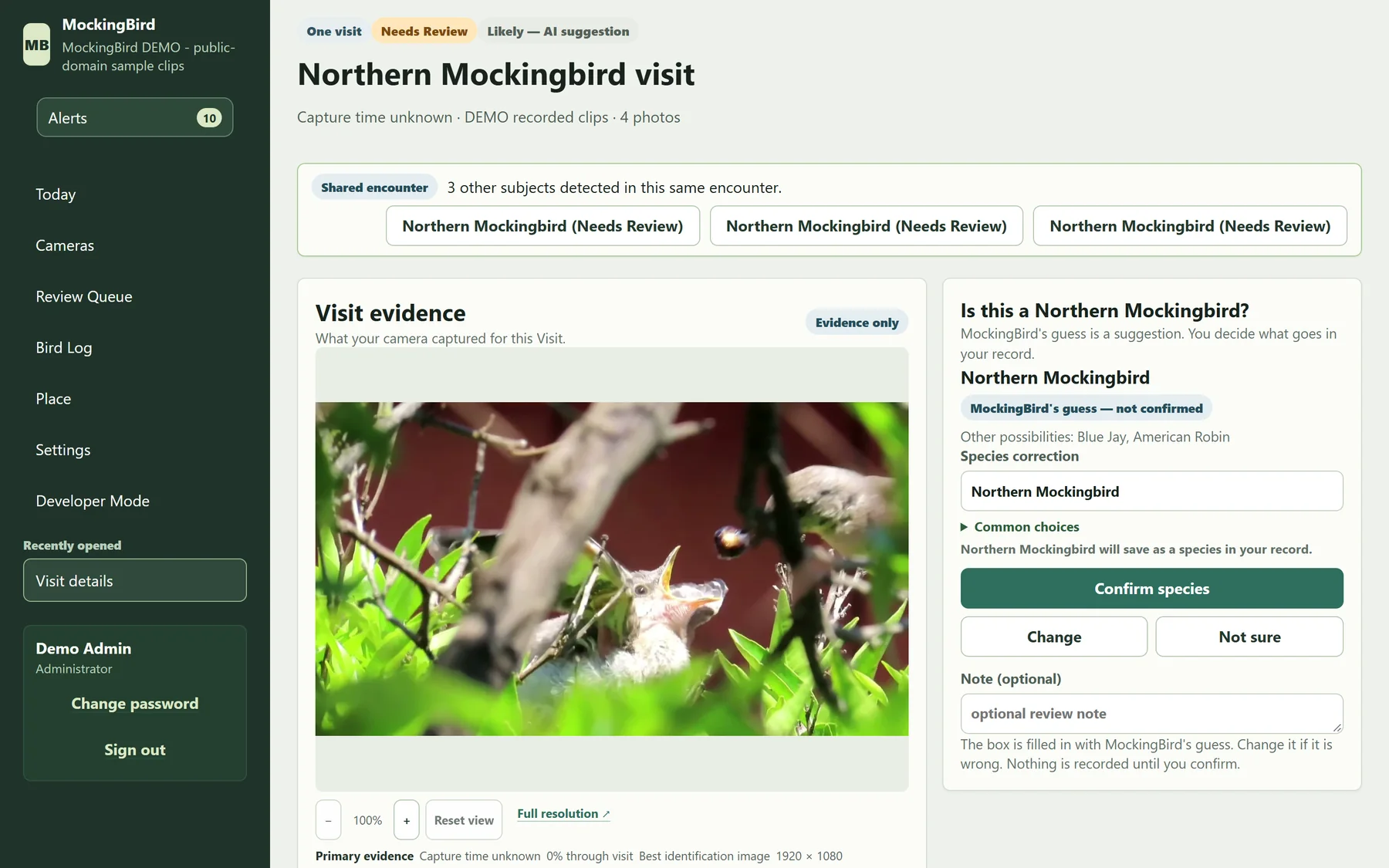 MockingBird application showing a Visit page: a zoomable evidence frame of a nestling in green foliage, a banner noting three other subjects detected in the same encounter, and a suggestion panel beside the sidebar navigation for Today, Cameras, Review Queue, Bird Log, Place and Settings.